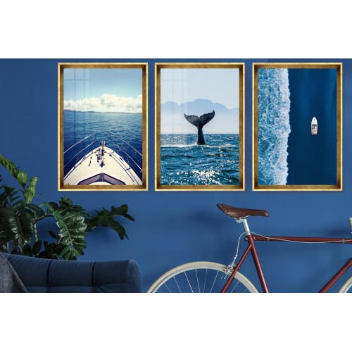 Aquatic Life And Travel Tablo Seti