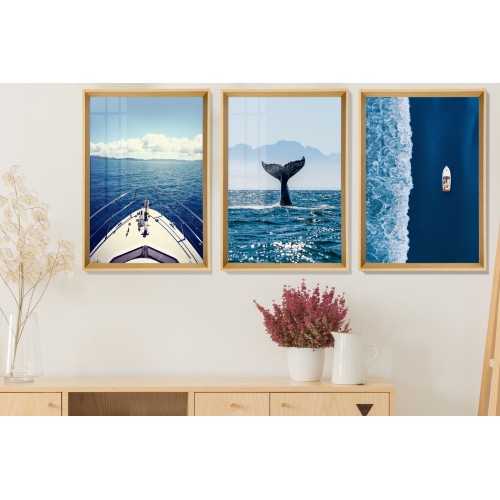 Aquatic Life And Travel Tablo Seti