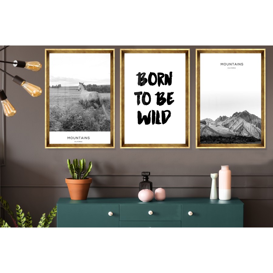 Born To Be Wild Tablo Seti